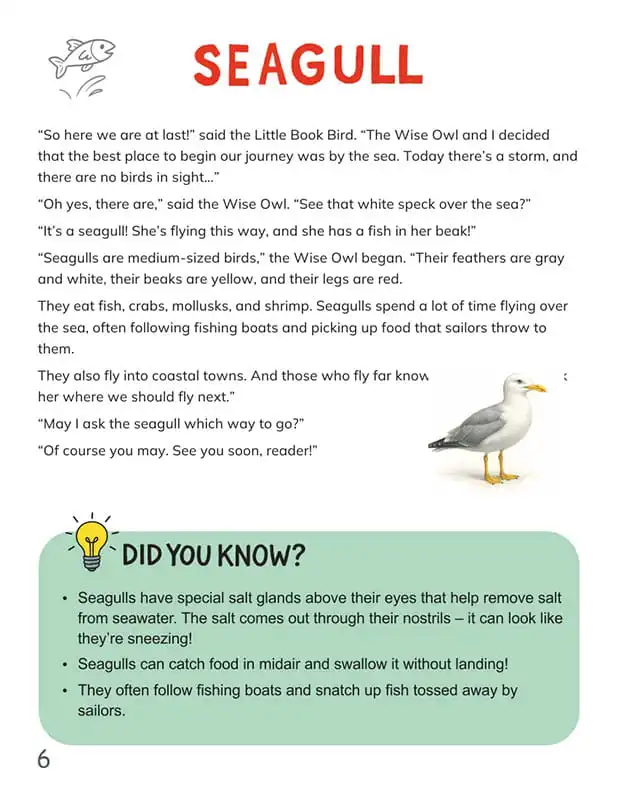 The Book About Birds, Part 1, Page 6