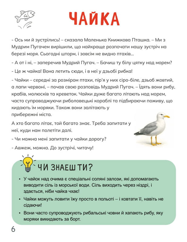 Книга про пташок, частина 1 - сторінки книги